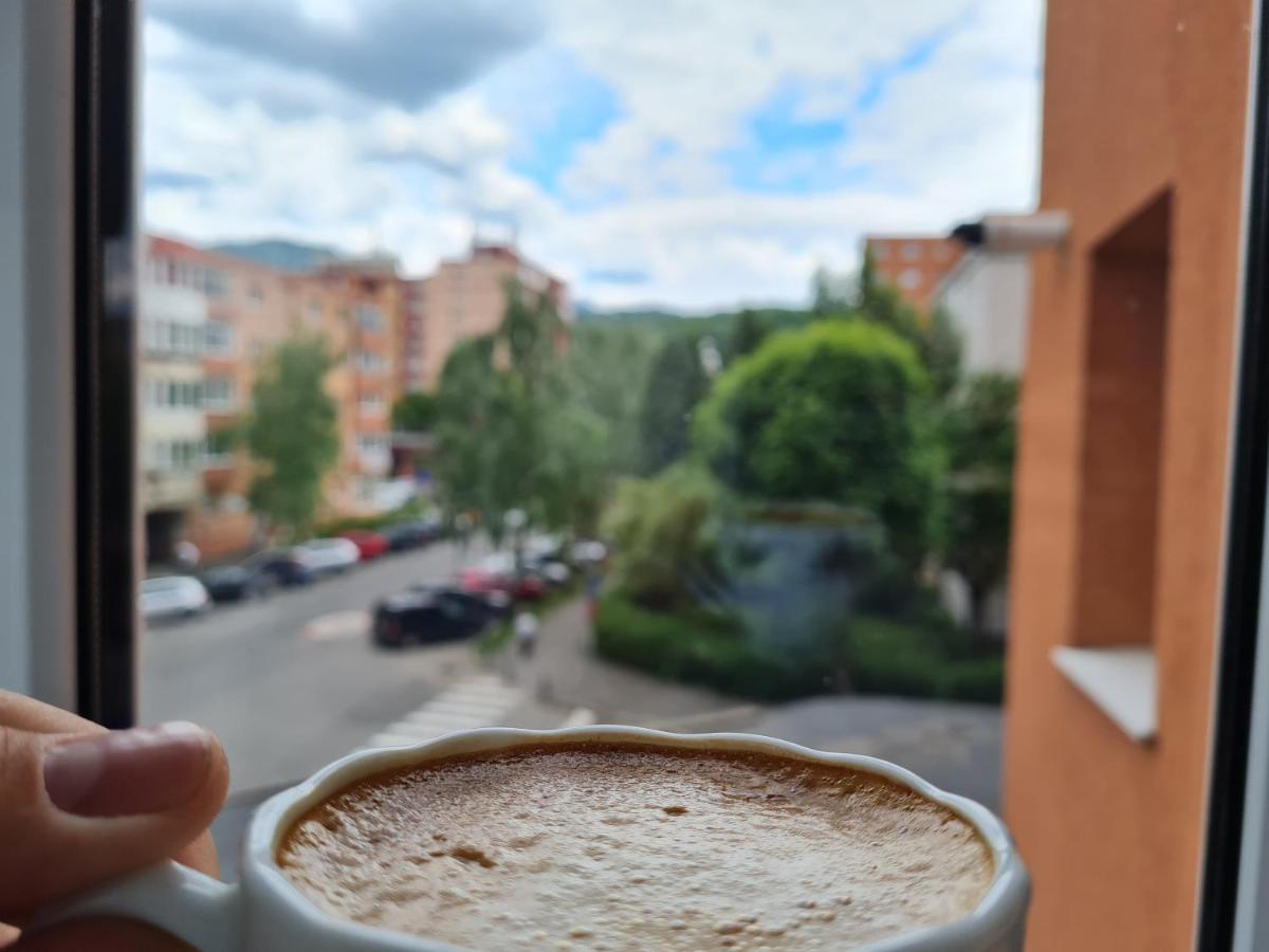 Smart Apartament Braşov Dış mekan fotoğraf
